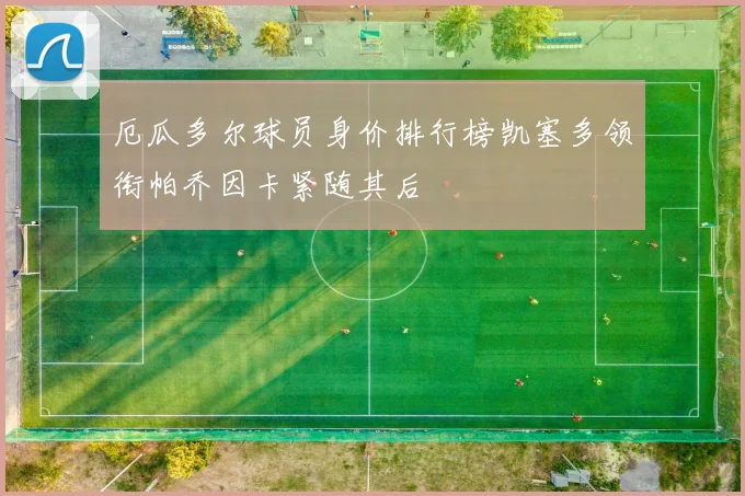 厄瓜多尔球员身价排行榜凯塞多领衔帕乔因卡紧随其后